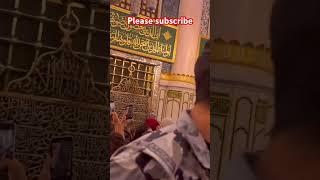 Madina Roza-a-Rasul ﷺ inside view  #madina #umrah #hajj #shorts