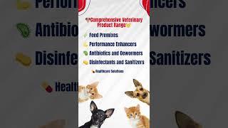 Veterinary Medicines Manufacturer in India #pyxuspharma #PharmaProducts #pharmamanufacturer