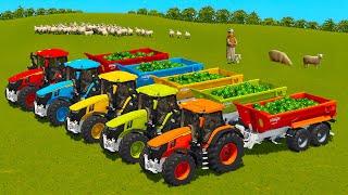 LOAD AND TRANSPORT WATERMELONES WITH JOHN DERRE & JCB TRACTORS - Farming Simulator 25