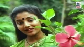 Oru Kilyin Song HD Poovizhi Vasalile Ilaiyaraja