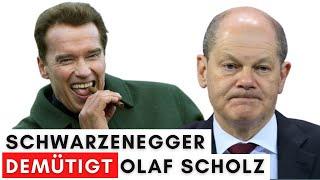 Spektakulär: Schwarzenegger rechnet mit deutscher Politik ab!