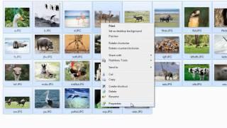 How to Remove EXIF Data from Photographs