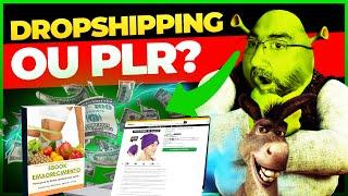 DROPSHIPPING OU PLR? QUAL É O MELHOR? QUAL DA MAIS DINHEIRO? 