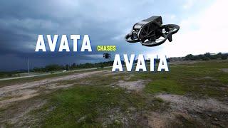 Avata chases Avata