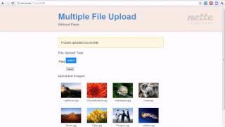 HTML5 - Nette Framework - Multiple File Upload