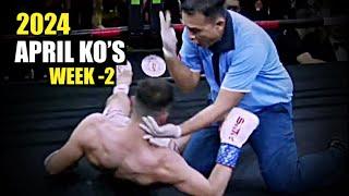 MMA & Boxing Knockouts I April 2024 Week 2