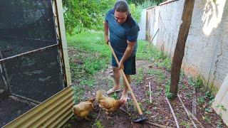 COUNTRYSIDE LIFE with MY 80 CATS | Mango Harvest, Brazilian BBQ, Gardening, Stair Makeover