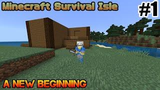 Minecraft Survival: A New Beginning (1)