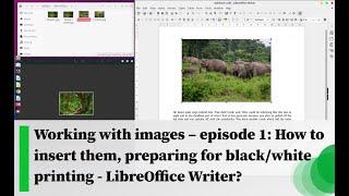 Working with images – episode 1: How to insert and prepare them for black/white printing?