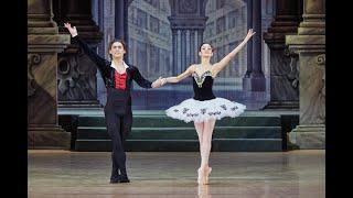 Don Quixote - Vasiliev and Germizeeva