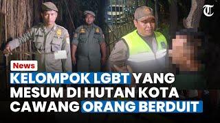 BUKAN ORANG SEMBARANGAN, Kelompok LGBT yang Mesum di Hutan Kota Cawang Sering Bawa Mobil Mewah