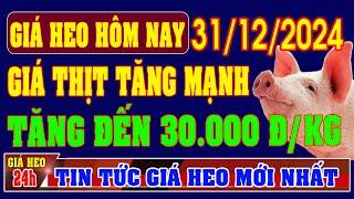 Giá heo hơi hôm nay ngày 31/12/2024 - GIÁ THỊT TĂNG KHỦNG, TĂNG ĐẾN 30.000 ĐỒNG/KG