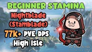 ESO Beginner Stamina Nightblade (Stamblade) 77k+ PVE DPS High Isle DLC