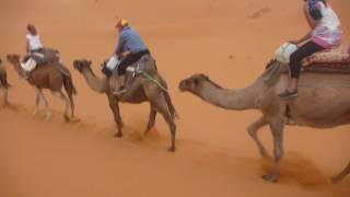 never-ending story (363) - sahara camel ride, morocco 10 sep 2016