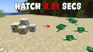 How to HATCH Turtle Eggs FASTER in Minecraft (PE,Java,Bedrock)