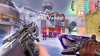 *NEW* Aemondir Vandal ASMR