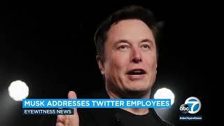 Elon Musk addresses layoffs, 'free speech' during first meeting with Twitter employees | ABC7