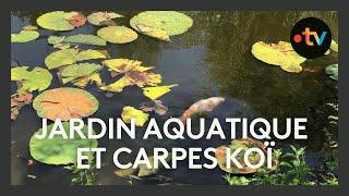 Visite des Jardins Aquatiques de Saint-Didier-sur-Chalaronne (Ain)