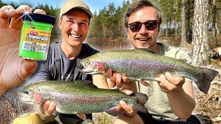 CRAZY RAINBOW TROUT FISHING with Powerbait in Hökensås!