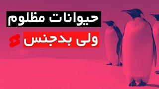 ۵ حقیقت درباره موجودات مظلوم نما  که شاید ندونی #shorts #لایفتیوی