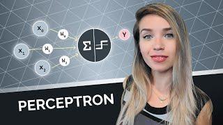 Perceptron Algorithm with Code Example - ML for beginners!