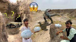 Big Lizard Ke Eggs Hain Ya Phir Dinasour Ke ???