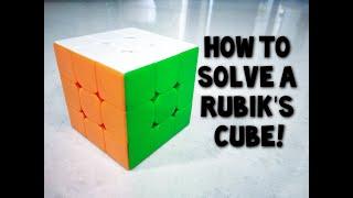 Rubik's Cube Tutorial | Rubik's Cubes & Twisty Puzzles | Neev THM