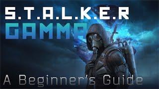 A Beginner's Guide To STALKER GAMMA