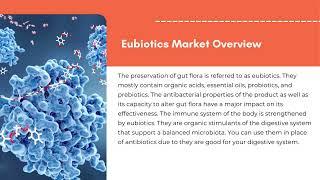 Eubiotics Market | Exactitude Consultancy Reports