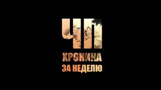 ЧП за неделю: таксист в багажнике, аварийная посадка, украденная пенсия и не пристёгнутые читинцы