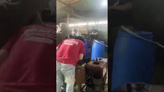 Exploding Silage Fermentation in Plastic Barrel!! #agriculture #traditional #fermentation