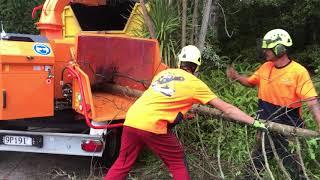 A141 XL Jensen wood chippers, Alfa Contracts NZ LTD, Arbcon and Tree King 2018