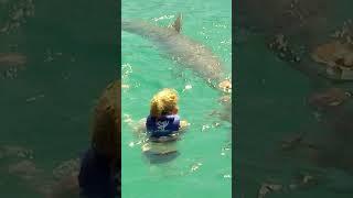  Swimming With Dolphins In Mexico!  | Travel Kids #arewethereyet