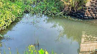 Mancing di spot pinggiran sawah lagi