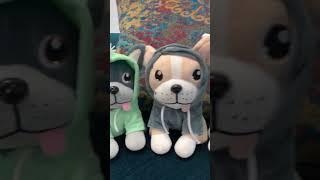 What a TRANSFORMATION! #bossdoggames #boardgames #funnyshorts #frenchies #plushies #trending #games