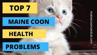 Top 7 Maine Coon Health Problems