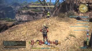 FINAL FANTASY XIV: clipping through the ground