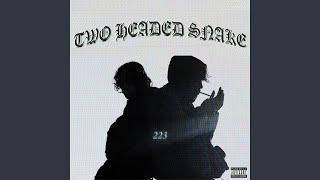 Two Headed Snake