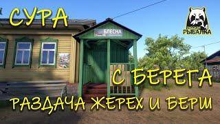 Русская рыбалка 4. рр4. Сура. Раздача с берега. Жерех. Берш.