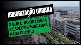 ARBORIZAÇÃO URBANA: O Que É, Importância e Espécies Indicadas Para Plantio