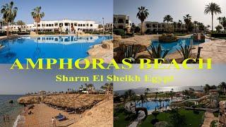 Amphoras Beach Sharm El Sheikh. What's it like?