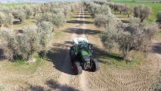 El Fendt 200 Vario con FendtONE llega a España I | Olivar - Baeza (Jaén) | Fendt