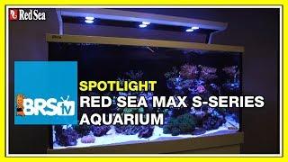 How to setup a complete reef system - Red Sea Max S Aquariums | BRStv Spotlight