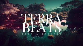 Terra Beats | Organic House & Deep House Night Mix