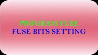 How to Fuse Bits Setting Using PROGISP