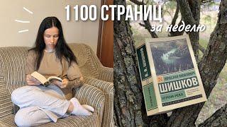 КАК ПРОЧИТАТЬ ОГРОМНУЮ КНИГУ за 6 дней  | книжный марафон 