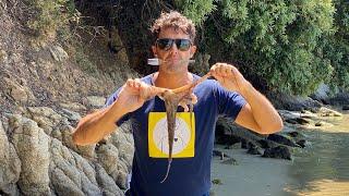 How to Catch an OCTOPUS with a Fork - How to fish from the shore with a Fork