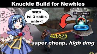 SUPER CHEAP Knuckle Build for Newbies! No Lvl 4 Skills! | Toram Online