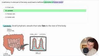 Lipid Absorption Deficiency Question for the DAT | Biology | DAT Bootcamp