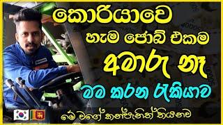 Jobs in Korea | කොරියාවෙ රැකියා, මම කරන රැකියාව, ආයතනය | my job & company | @Lasavlog company vlog